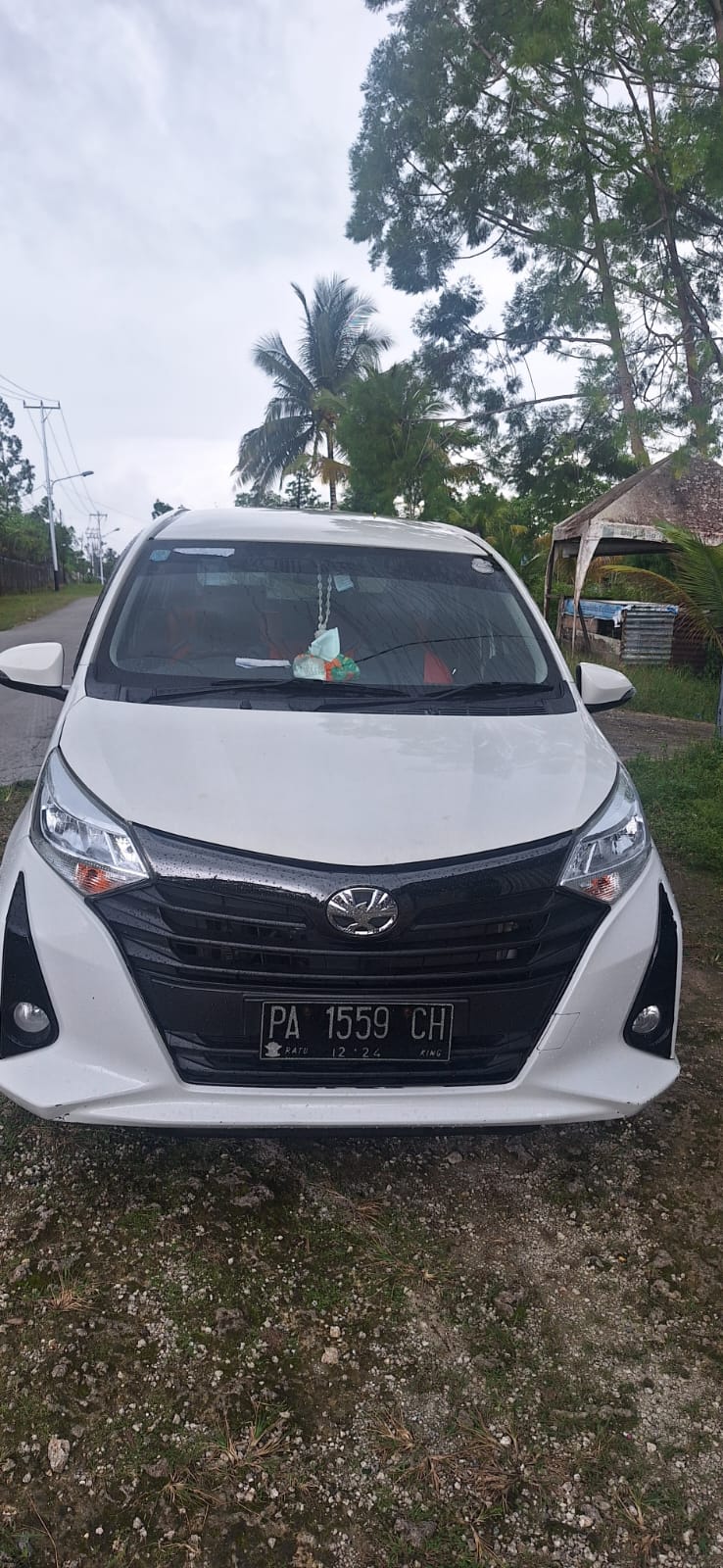 CALYA 1.2 G M/T